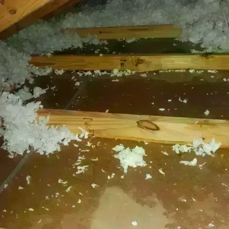 Attic Water Damage in Strathmore, CA